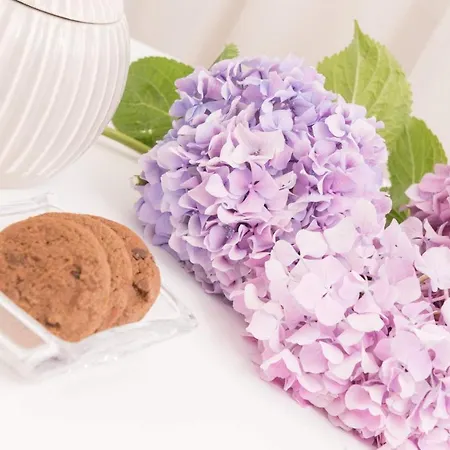 شقة فندقية Polyxeni's 3*